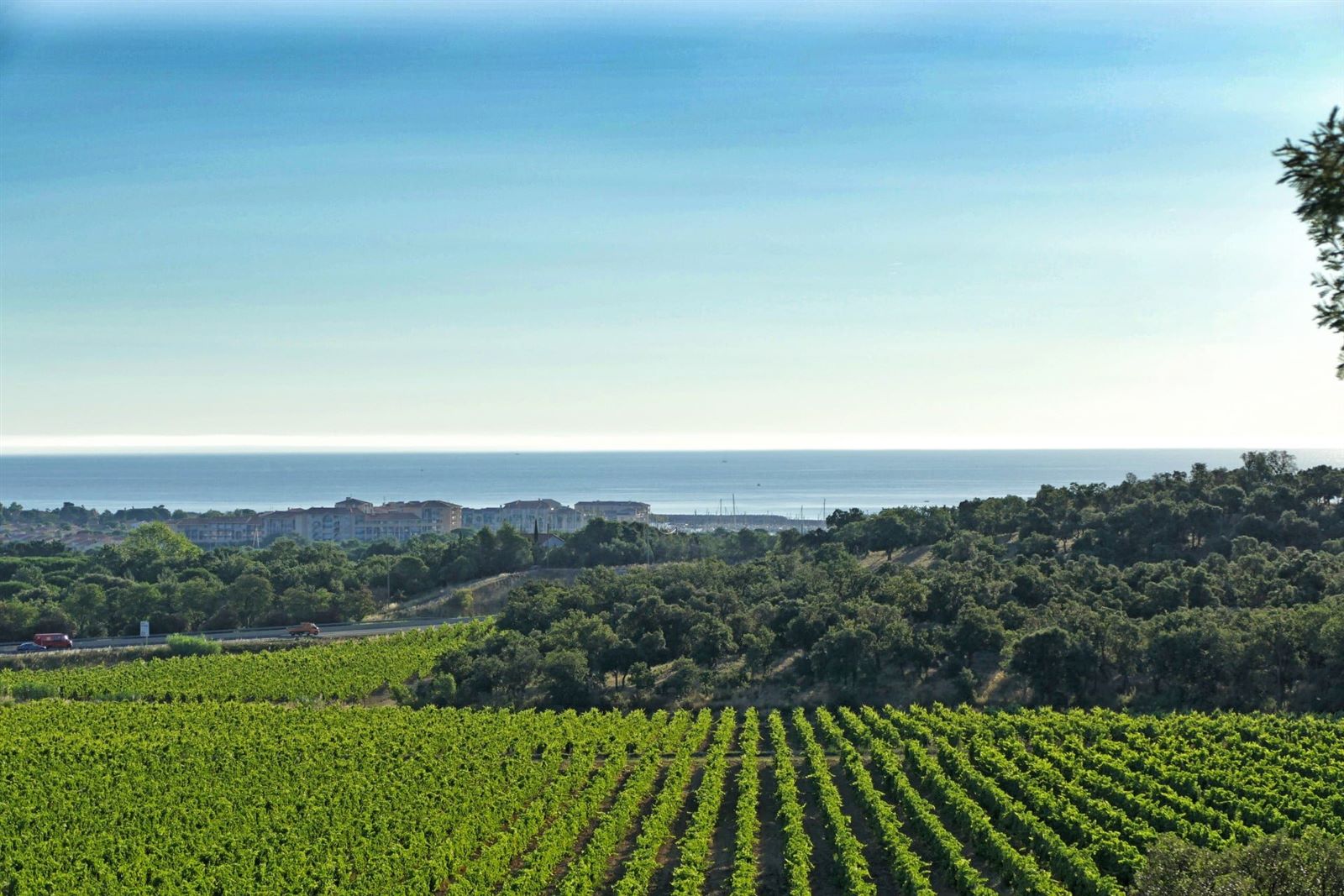 Château Valmy