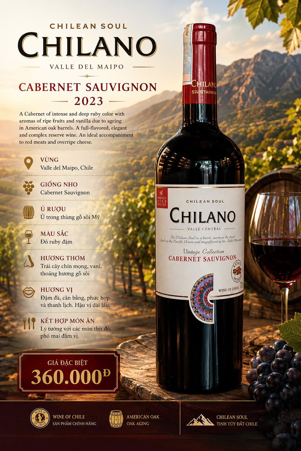 Chilano Cabernet Sauvignon Valle del Maipo – Vintage Collection 2023