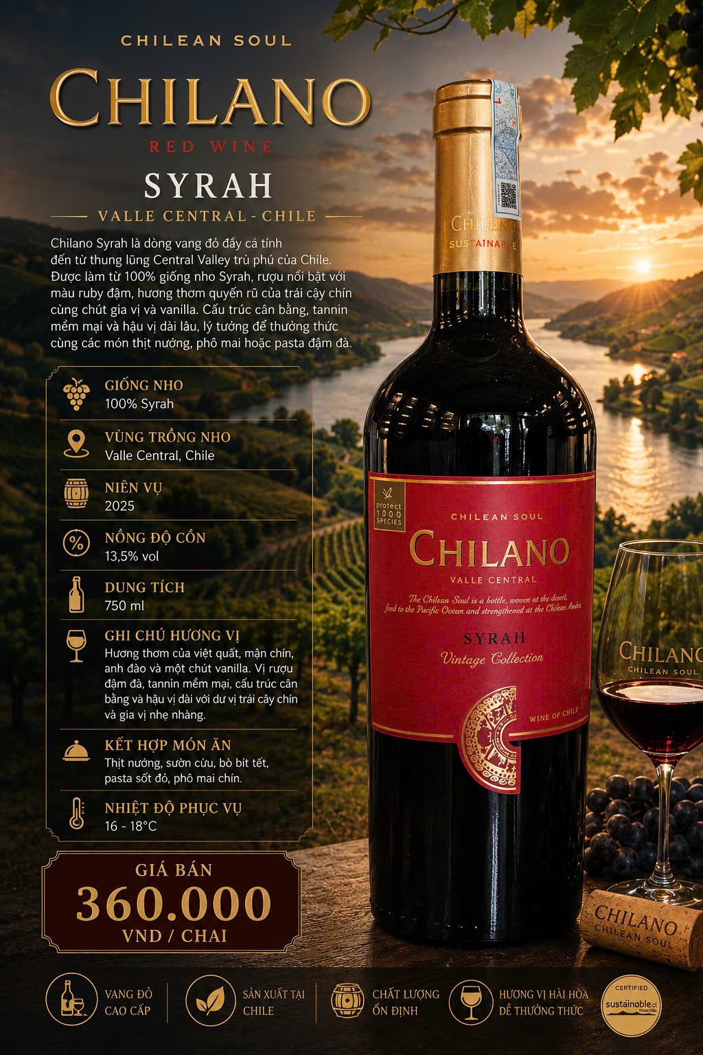 Chilano Syrah – Vintage Collection