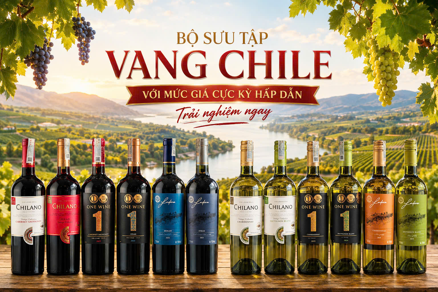 Bộ sưu tập Vang Chile