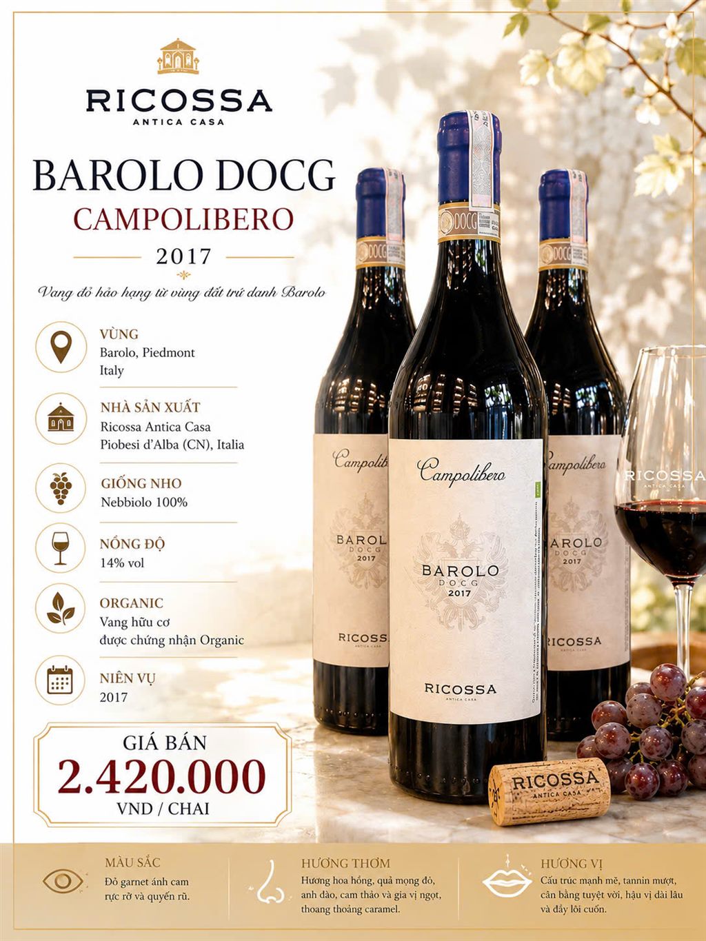 Ricossa Antica Casa Barolo DOCG Campolibero 2017