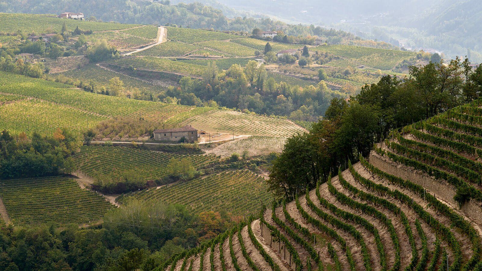 Vallebelbo